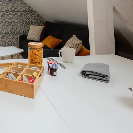 Appartement Sous Velux T2 *