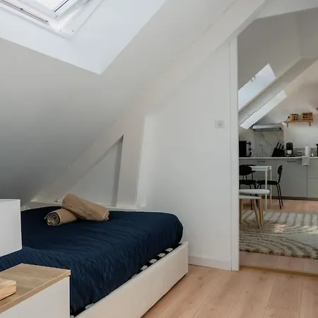 Sous Velux T2 公寓 圣纳泽尔