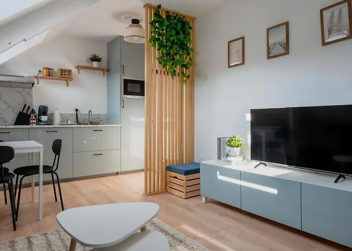 Apartament Sous Velux T2